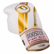 Booster Boxing Gloves
