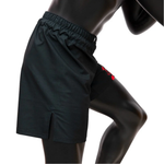 Load image into Gallery viewer, Fairtex &quot;Lion&quot; MMA Shorts - Beliy Volk
