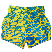 Fairtex Muay Thai Shorts 